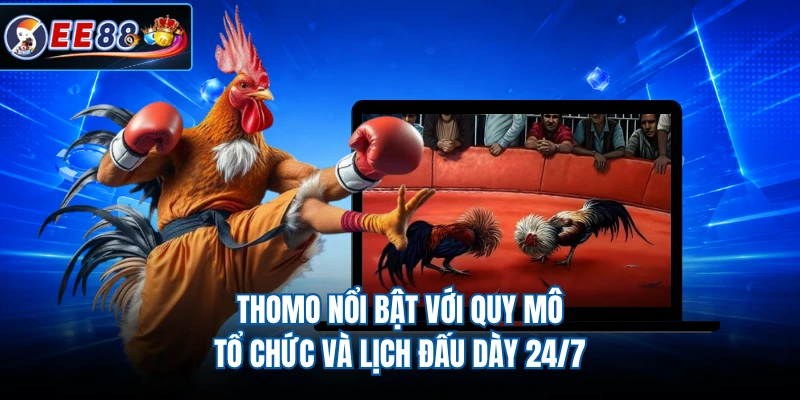 Thomo nổi bật với quy mô tổ chức và lịch đấu dày 24/7
